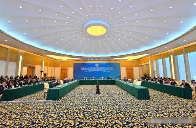 印度不久前对中国施压，要求我们悬崖勒马，不要帮助巴基斯坦，没想到，上合组织6月3