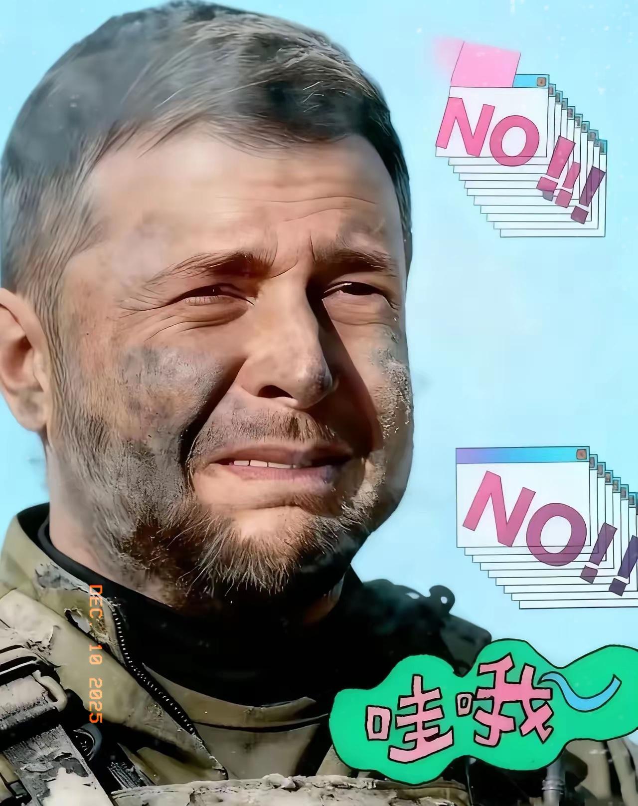 12月19日，乌克兰总统泽连斯基在与波兰总统纳夫罗茨基会面后宣布，乌克兰已向合作