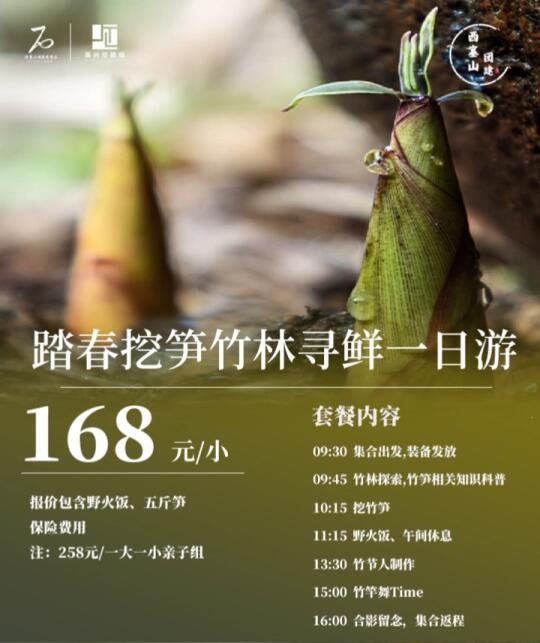 🌸湖州踏春之旅🌿 挖笋竹林寻鲜记一日游