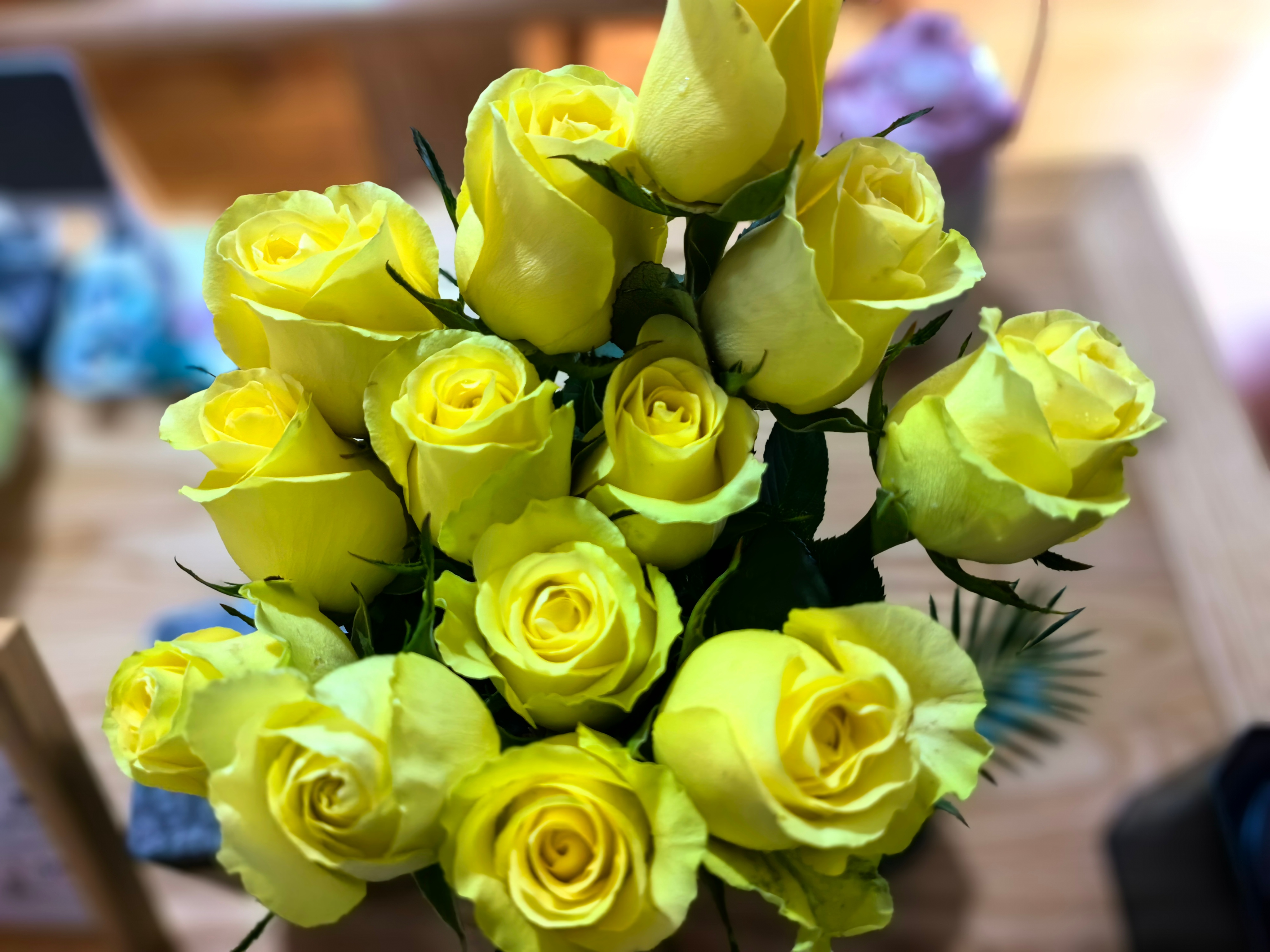 新我优秀没有天花板，内耗才是无底洞(一)回了趟老家，从老家出深圳的时候，居然迫不