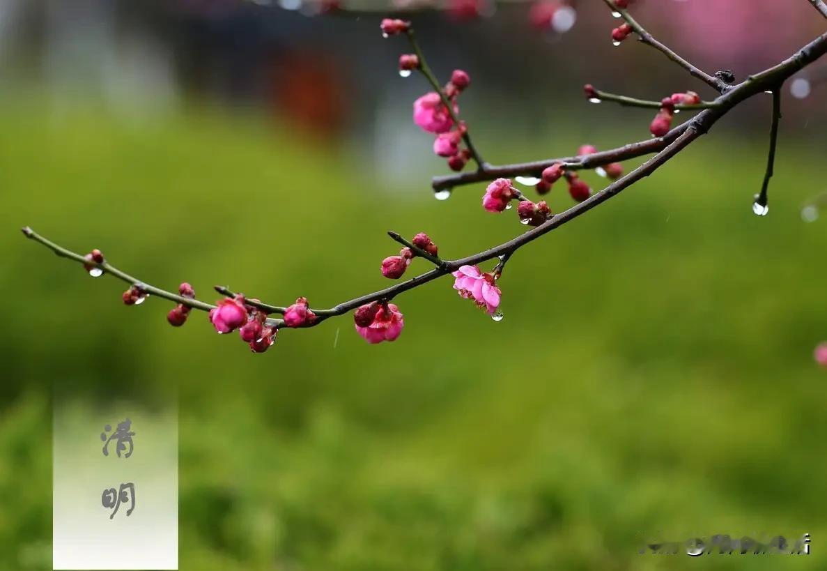 离谱！老人去世，几吨重的真车直接下葬。钱多烧的，还是愚孝疯了？这不是孝顺，是病态