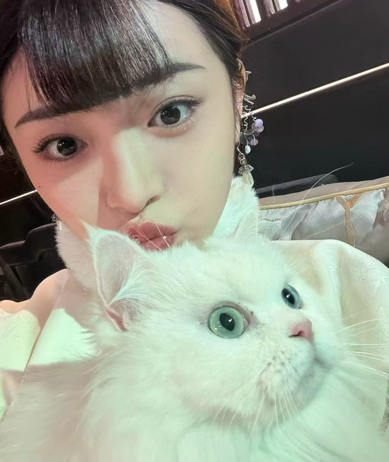 这里有两只白色小猫咪 ​​​