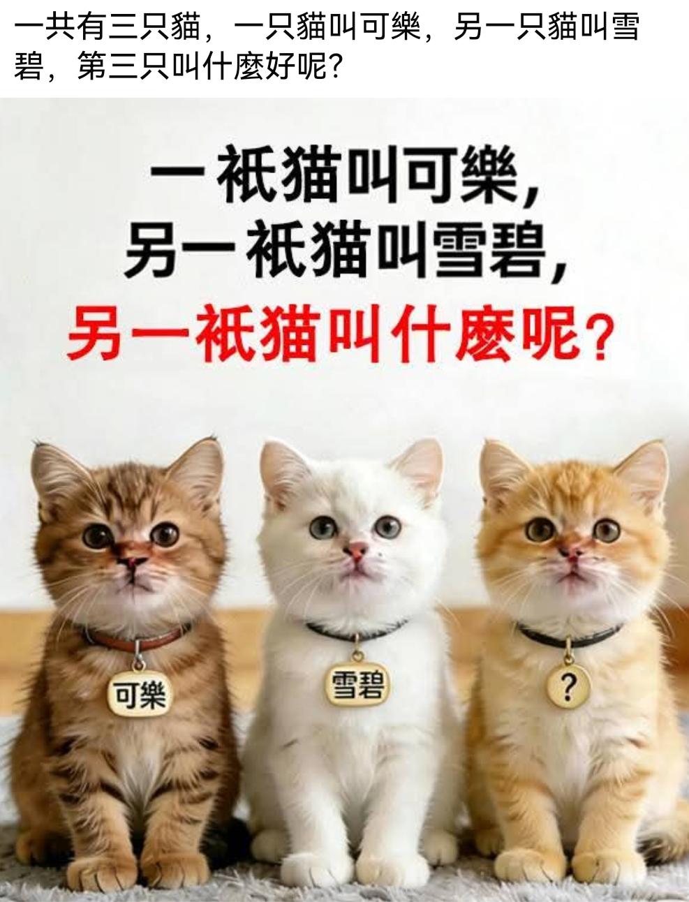 考考你，一共有三只猫，一只猫叫可乐，另一只猫叫雪碧，第三只叫什么好呢？