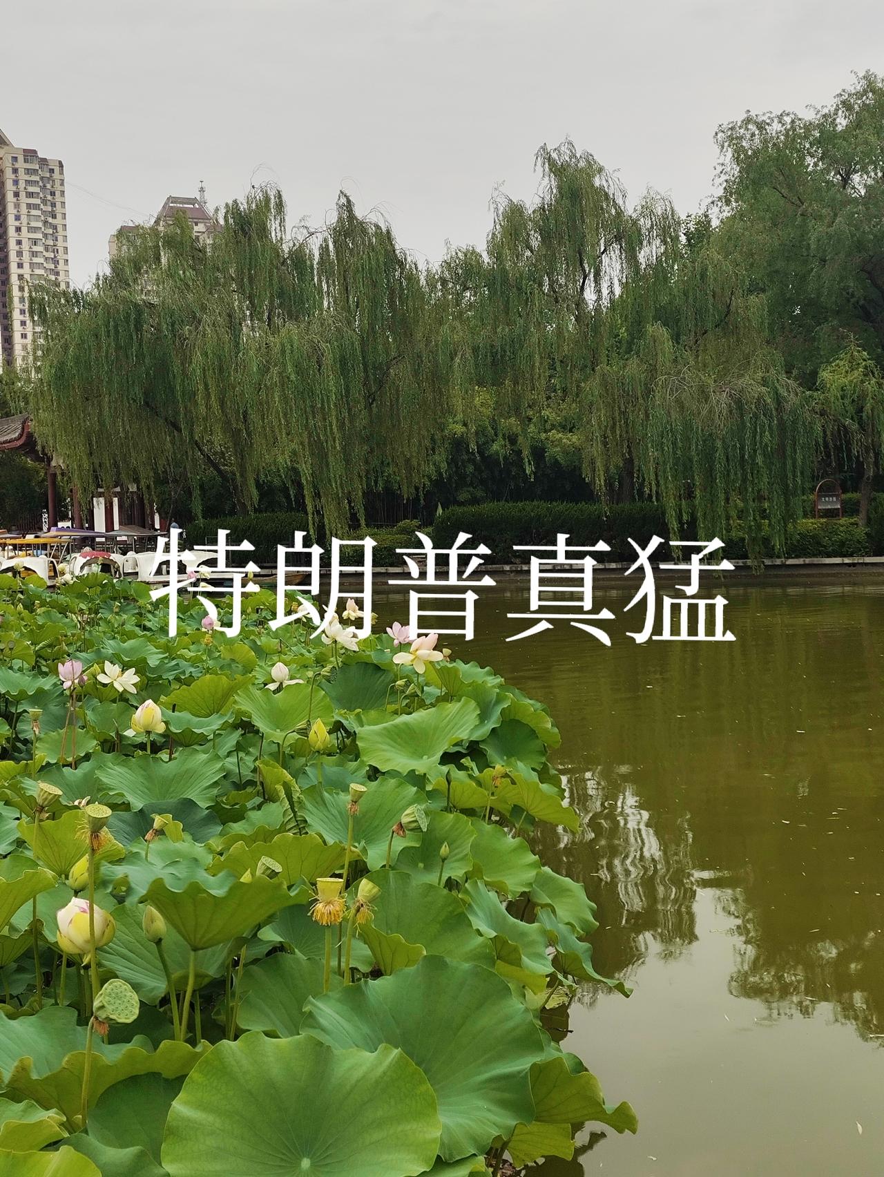 特朗普一个人在统治世界？
是美国在攻打伊朗？还是特朗普在攻打伊朗？
别忘记了，特