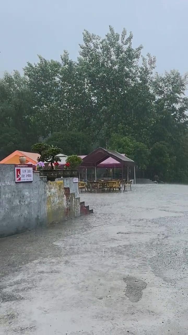 临江仙·高考首日逢雨。
高考倒计时的数字即将归零，孩子们马上就要上战场了。十二年