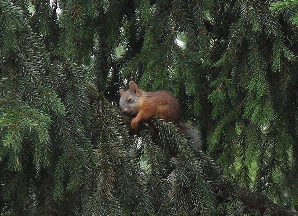 分享图片 ​​​