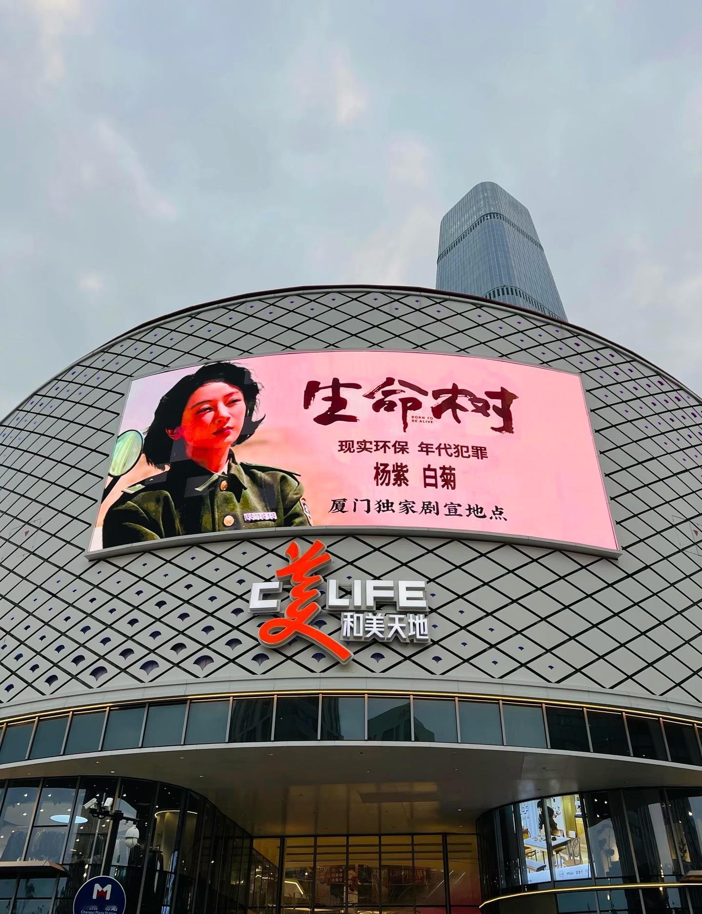 杨紫生命树厦门地广 