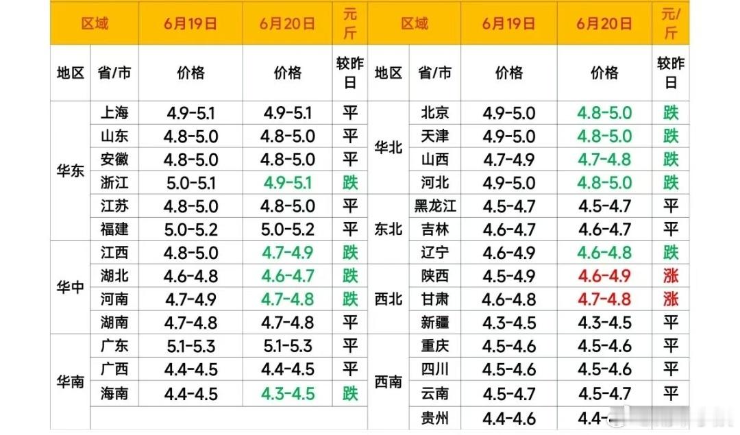 每日猪价 
