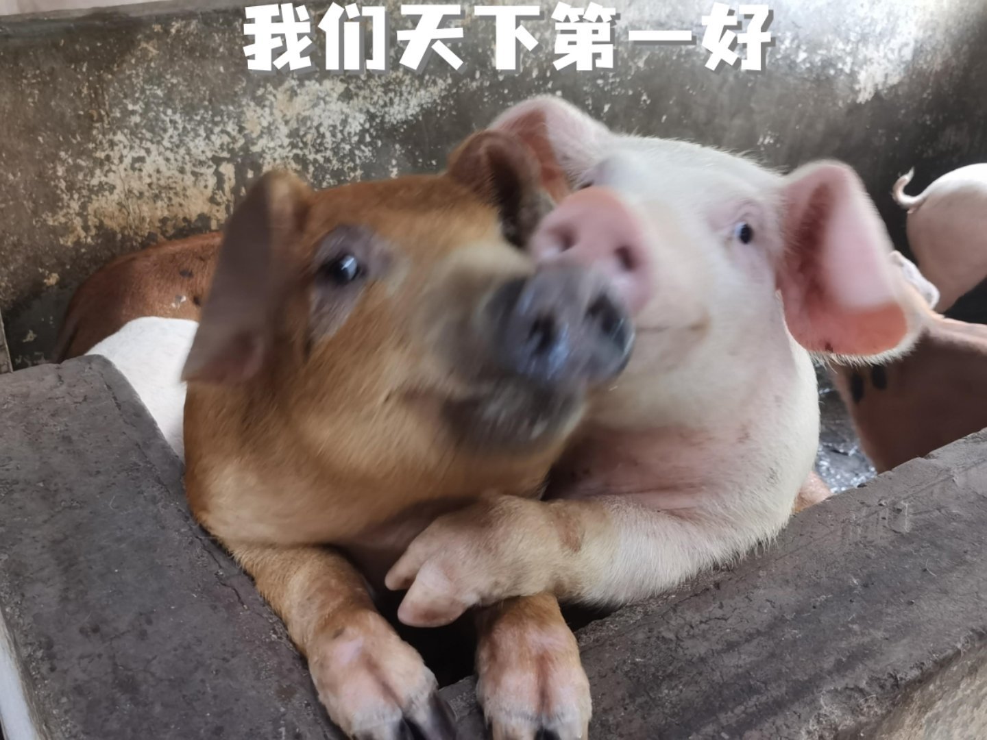 我和群友的关系 