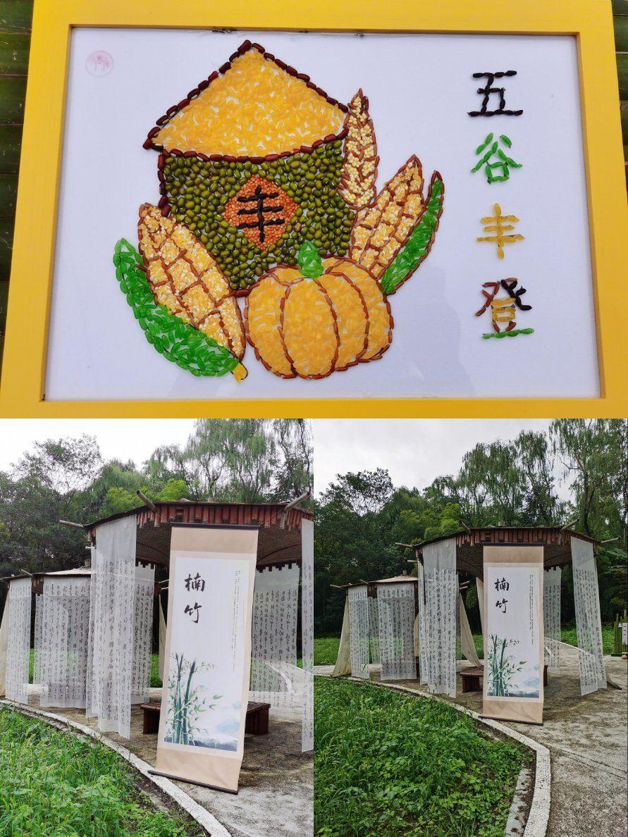 上联“春播千亩稻”一出，瞬间勾起了我对对联的兴趣。我觉得“秋收万担粮”确实是首选