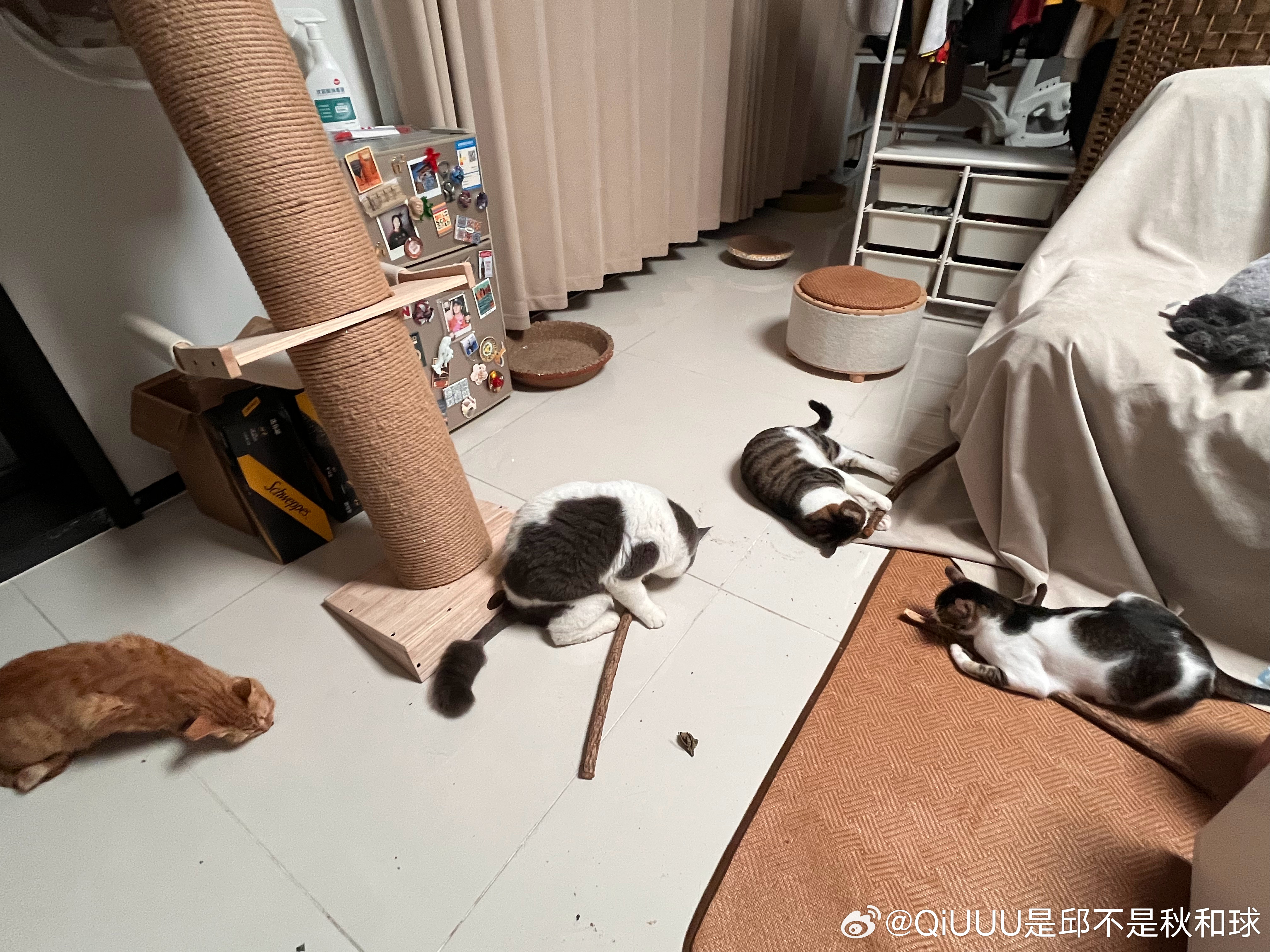 聚众嗨皮 