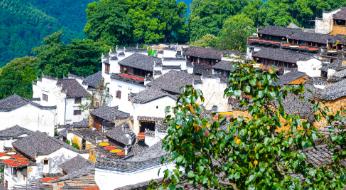 说起江西农业大学，很多家长孩子可能第一印象就是“学种地的”。这个想法真得改改了。