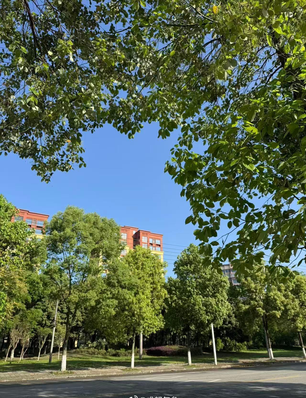 当前我市平均气温为26.5℃，气温舒适！大家都在干嘛呢？ ​​​