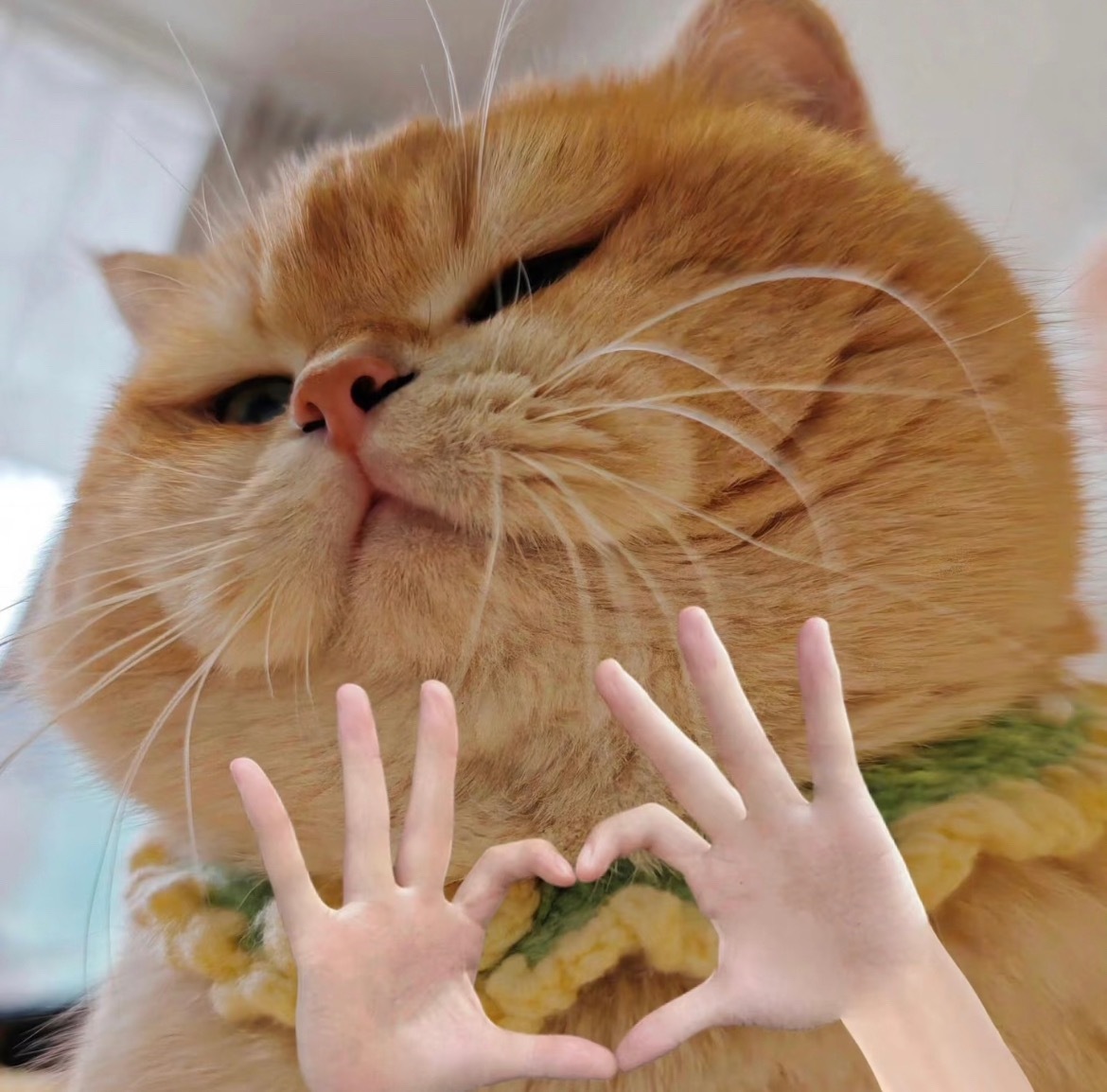 周末愉快哇～小预告，明晚给铁粉宝们发个红包🧧记得准时来哦～卷妹的唠嗑