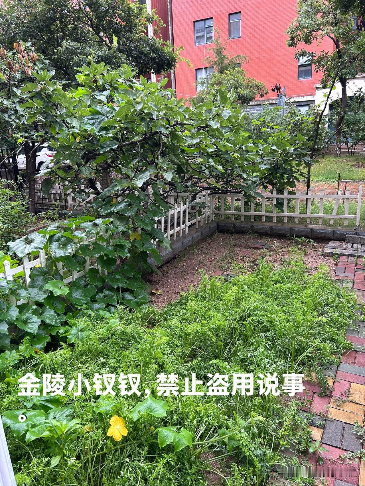 昨天下午我们老两口带着俩宝贝离家出走了，我们要利用暑期最后的一周，带孩子来海边小