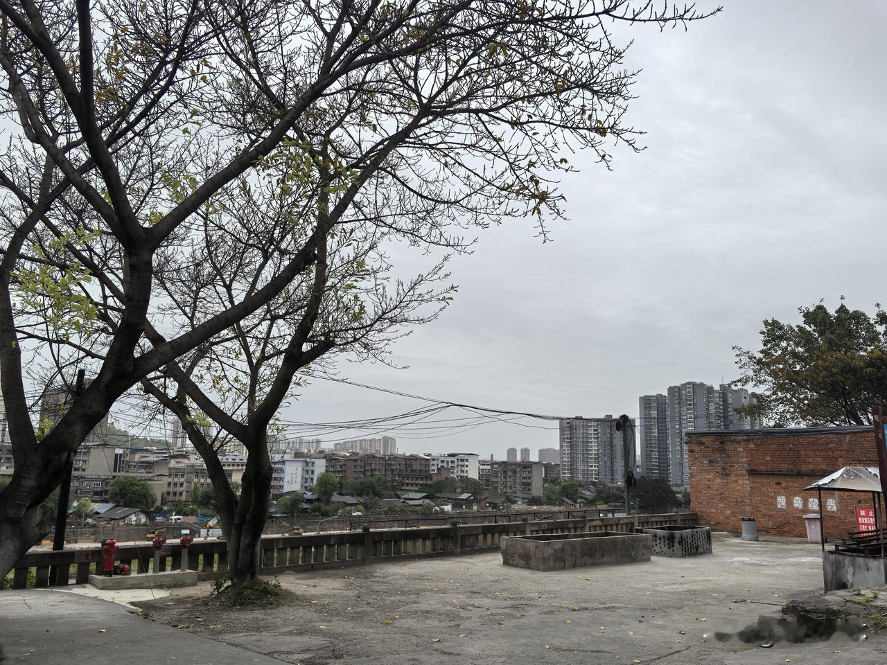 最近说浅浅诗的太多了，浅浅的诗好不看，重点是看她爸倒不倒。但一百多年前，有个自称