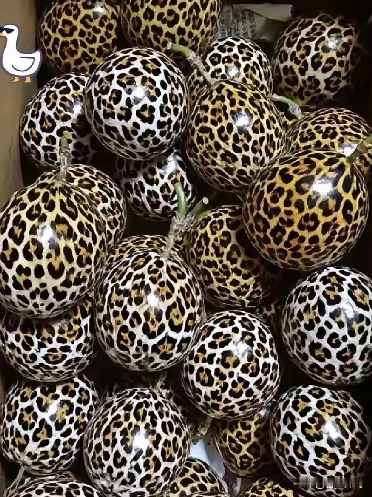 我滴个乖乖！快递箱一打开，我差点魂儿都飞了！嫁到山里的老同学说寄点特产水果，我还