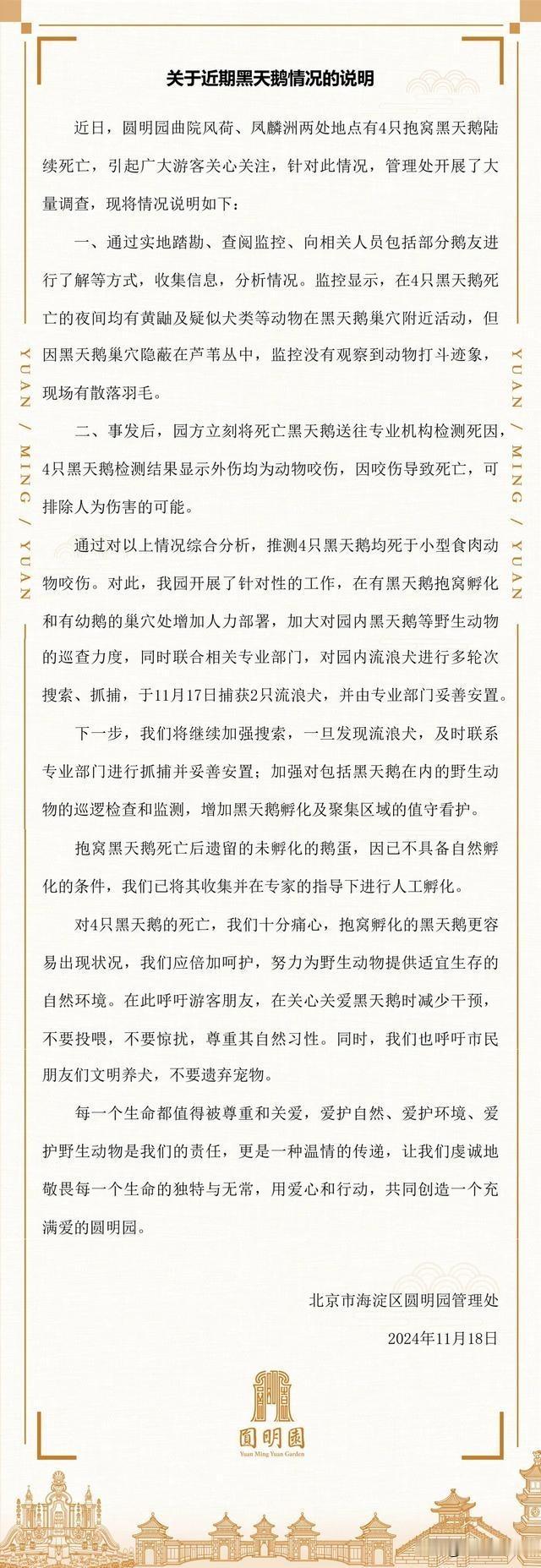 圆明园4只黑天鹅被咬死，只能说明这4点
1.园区内生态系统失调，食物链被打乱，导