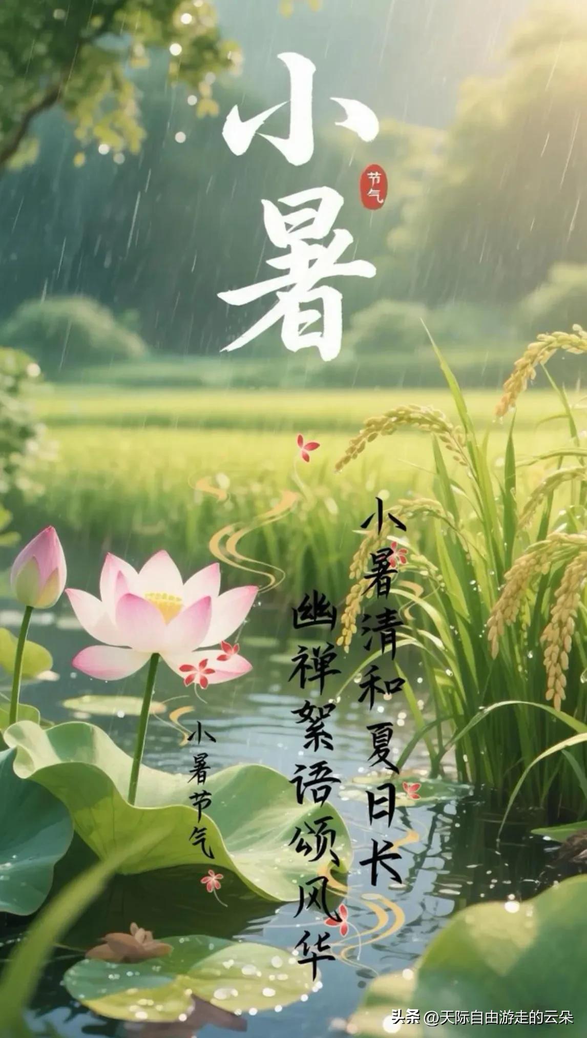 今日小暑！最凶险的40天倒计时开始，这3个忌赶紧记住，老传统别丢

温风至，盛夏