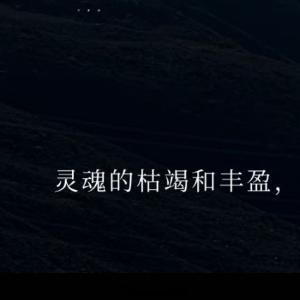 情感语录 张小娴说："多少年来，你一直努力取悦别人，取悦这个世界，又要多少年后，