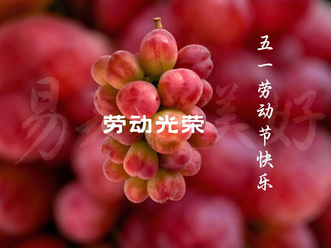 劳动节快乐