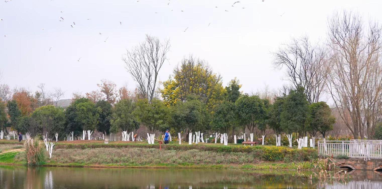 春风十里昆明有你凡人微光聚春城我就是滇风【“微光”的力量，是让每个普通人都敢点亮