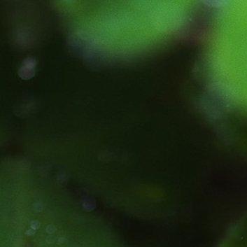 每日一善‎每日一善 ‎阳光‎信用 时代在召唤我们这一代青年人，用辛勤的汗水汇聚成