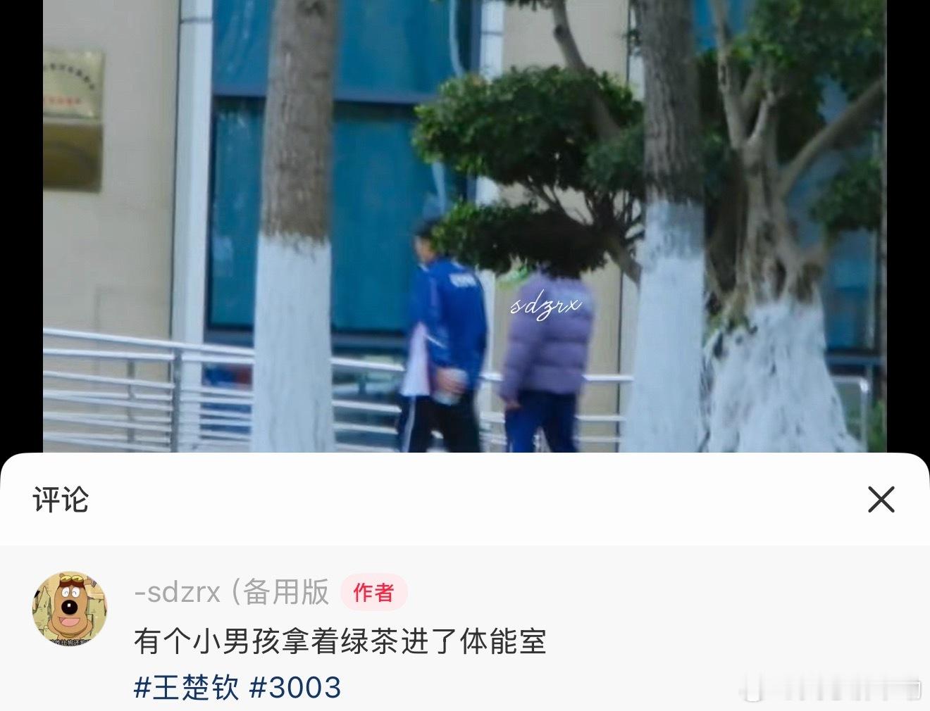 绿茶呢，莎莎的绿茶呢