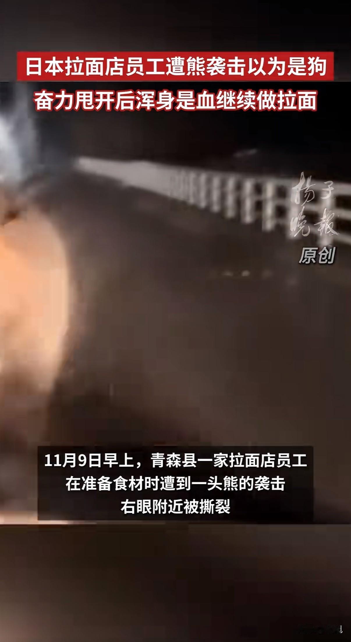 凌晨五点，青森县拉面店老师傅推开后门，被熊扑倒时还以为是野狗。搏斗后满脸是血，他