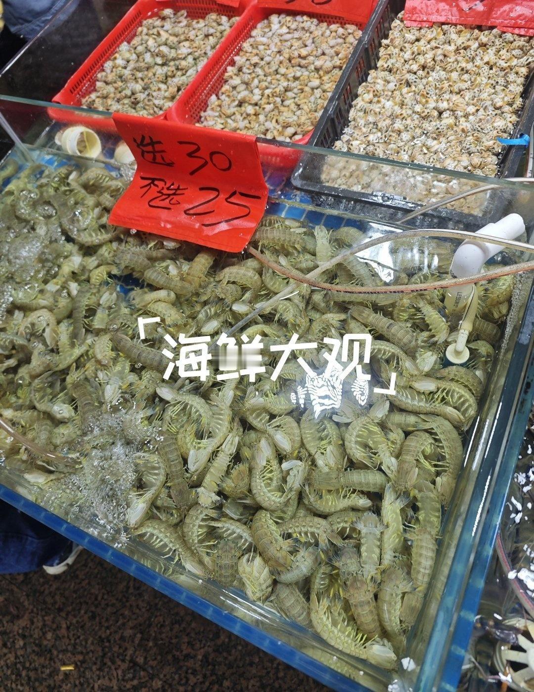 现捞现买的市场
📍广州 西区肉菜市场
靠山吃山，靠海吃海
在广州这边水域很多鱼