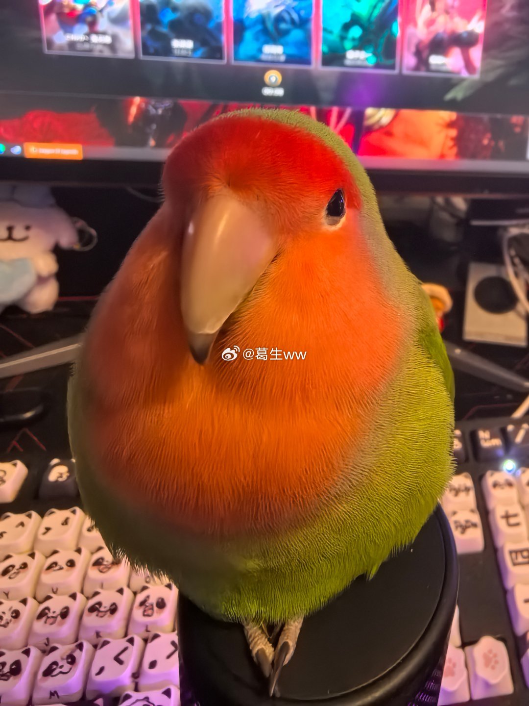 好圆 ​​​