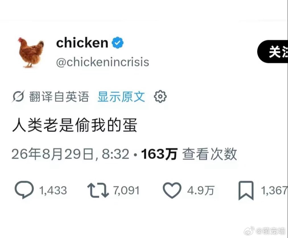 我啥时候看见这种动物笑话能不笑啊 ​​​