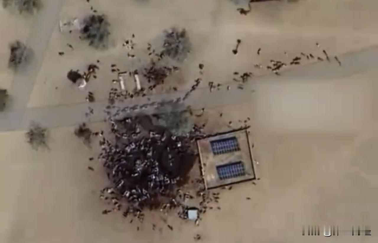 血色非洲

苏丹发生大屠杀

11月14日

街道上密密麻麻堆满了尸体

上干名