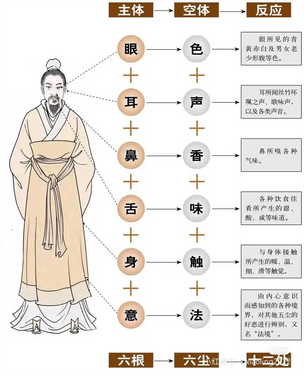在感知世界的众多方式中，我们的主体通过六种感官——眼、耳、鼻、舌、身、意，与外部