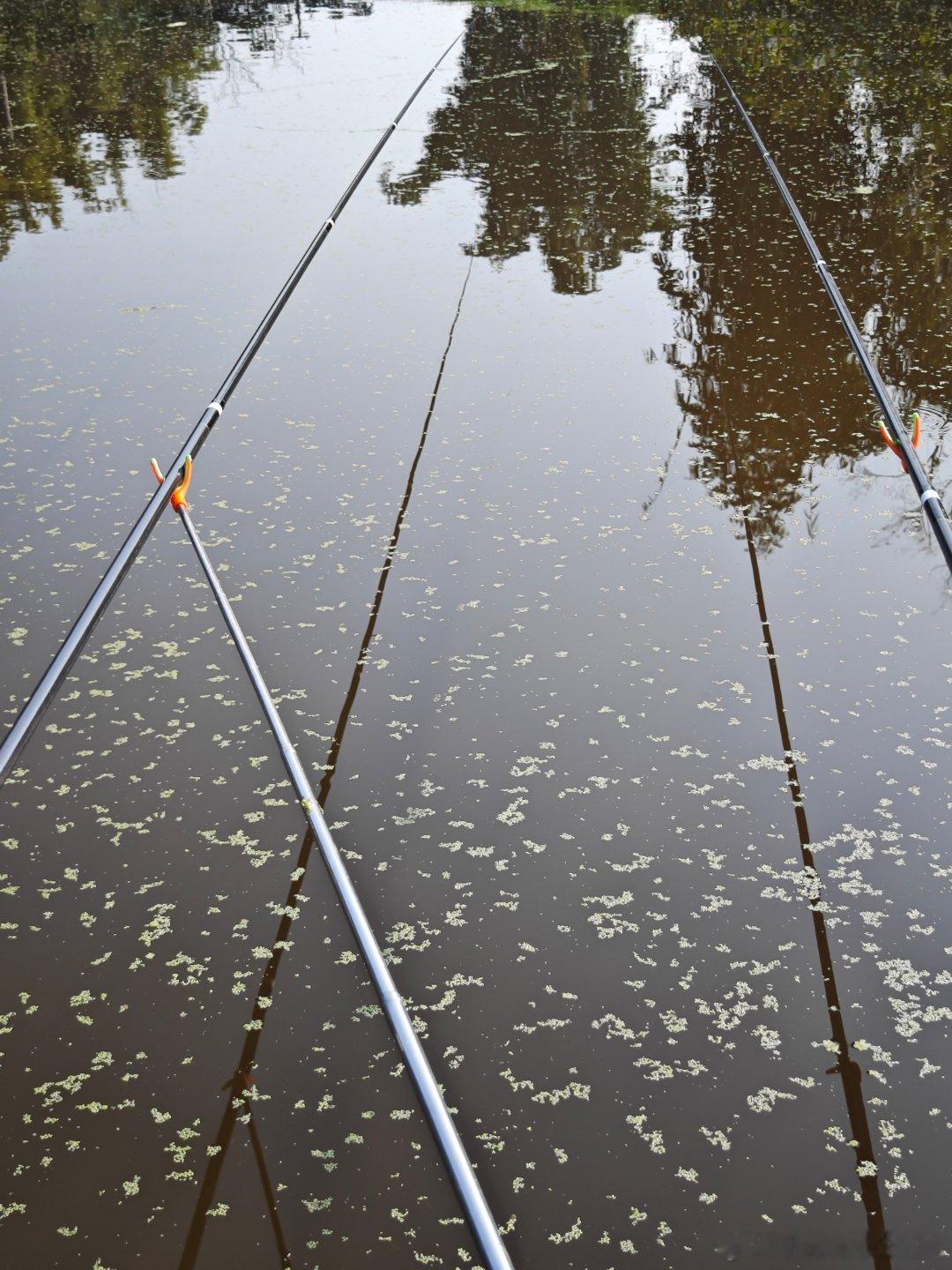 今天股票下跌，钓鱼也空军