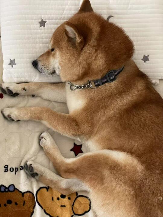 谁敢一上班就睡觉啊？