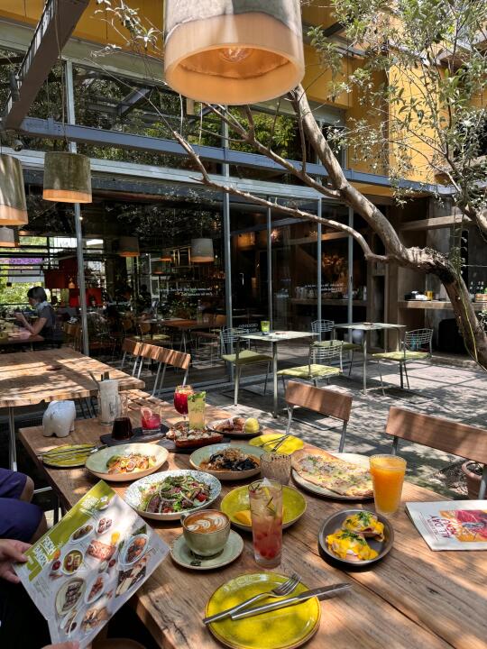 成都最牛逼的漂亮饭🥹.....这周去了三次...