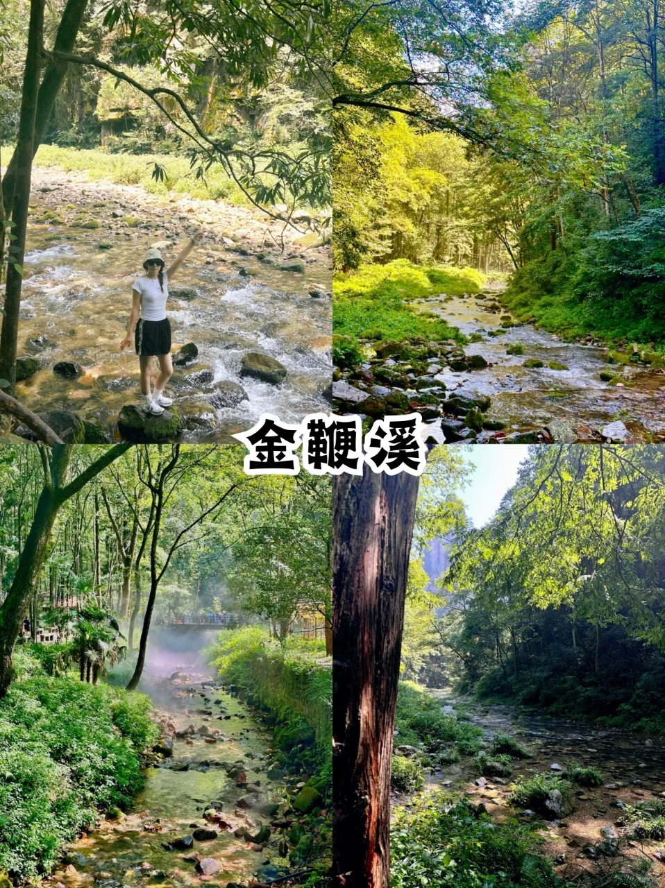 张家界不跟团‼️自由行本地人带你不踩雷