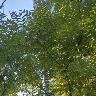 森林驿站‎熊猫守护者 在生活的路上，善待自己！努力活成自己喜欢的样子，不用在意别