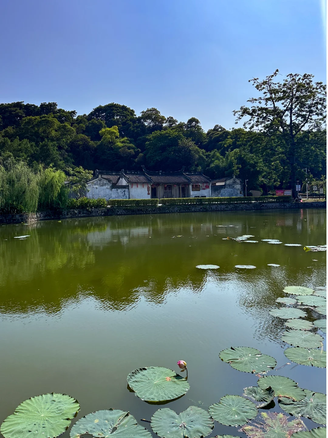 汕头｜冠山书院