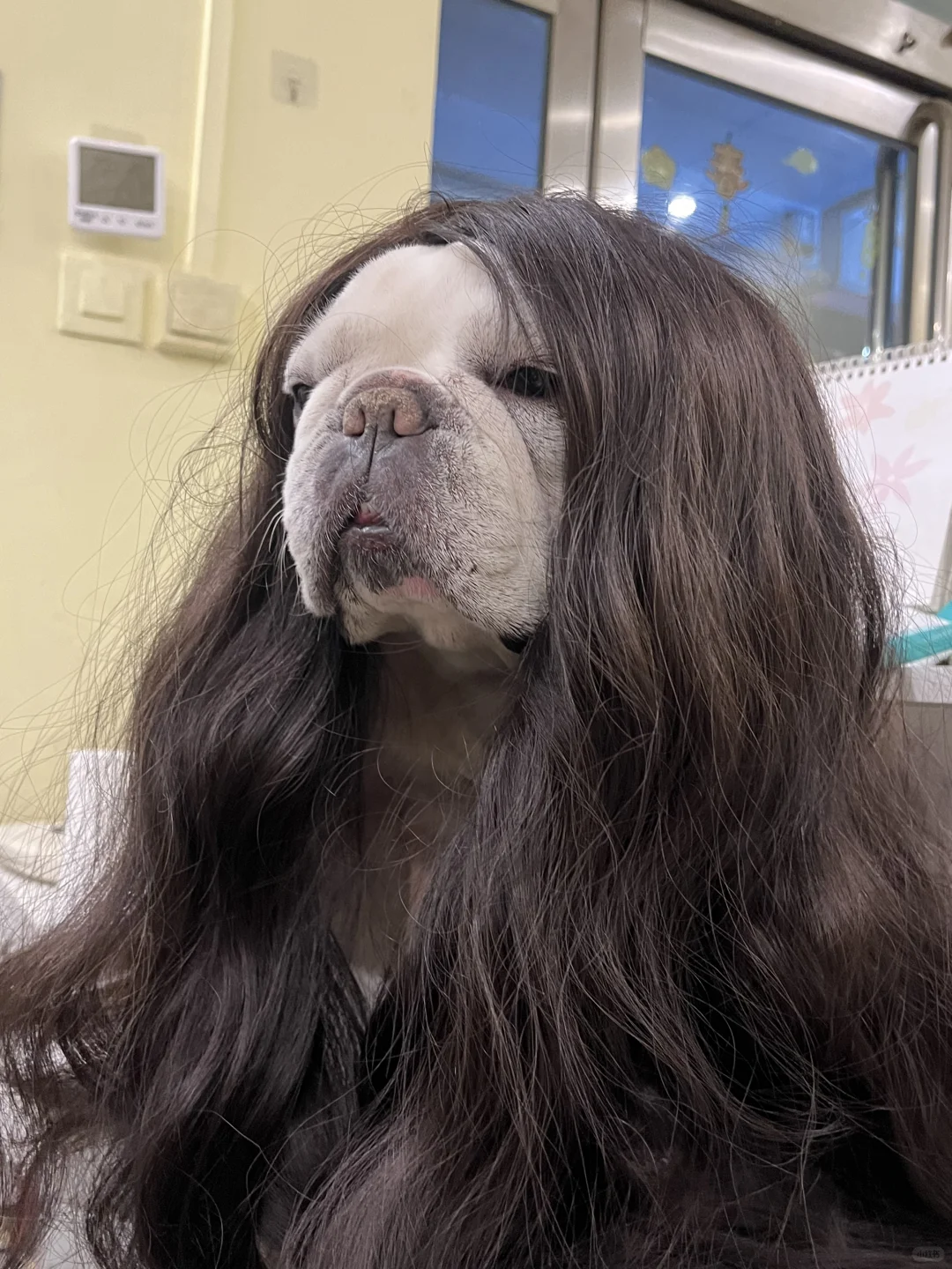 美女你好 可以亲一下吗