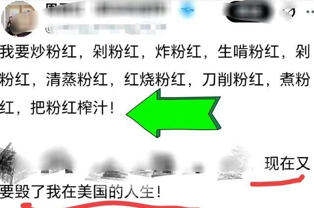 破防了、又破大防了！知名反华大殖子周君红放话说自己要为4亿美国人民做代理律师，向