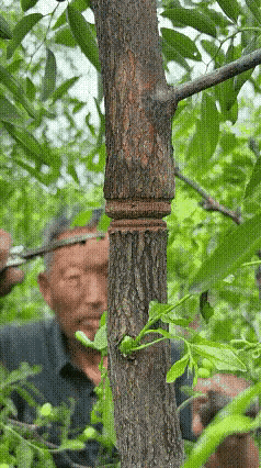 这就是艺术，
多一分多一厘都不行。