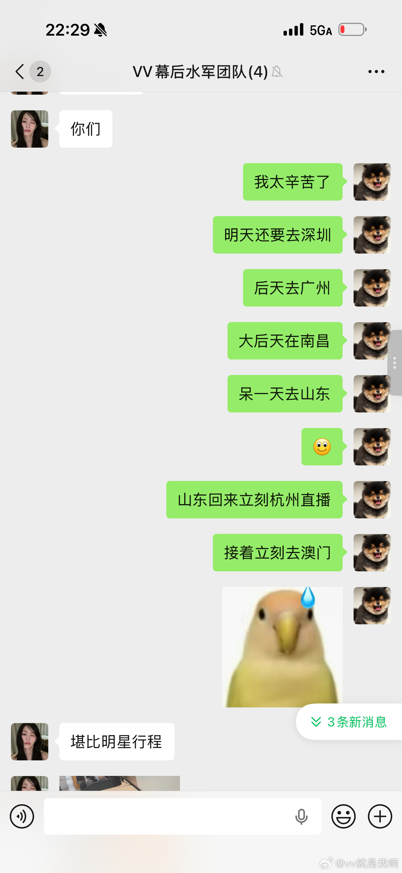 明星行程不过如此 谢谢
