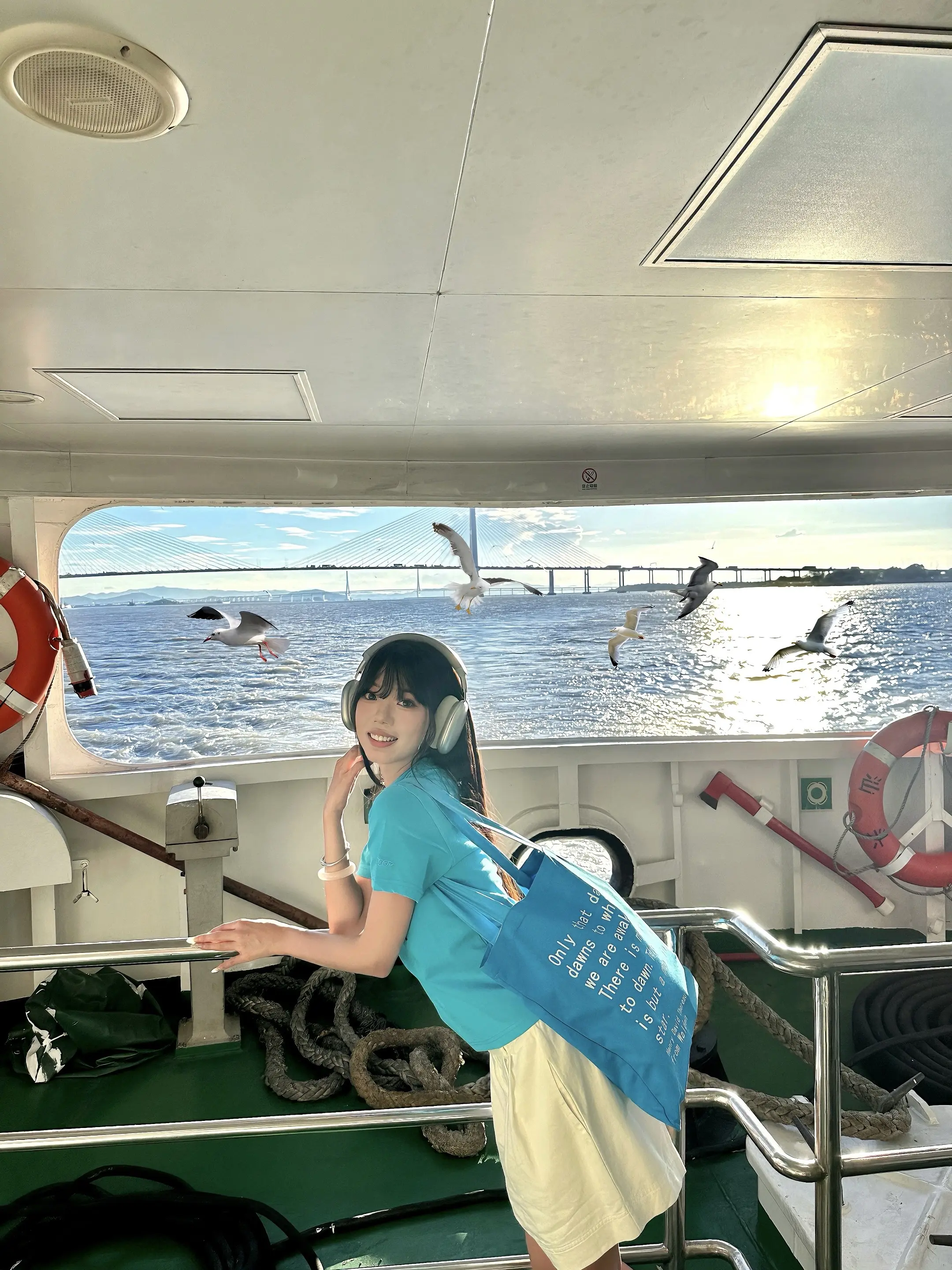⛴️很幸运在汕头轮渡看到了海鸥 长这么大第一次知道汕头也有海鸥！！ 落日也太美啦