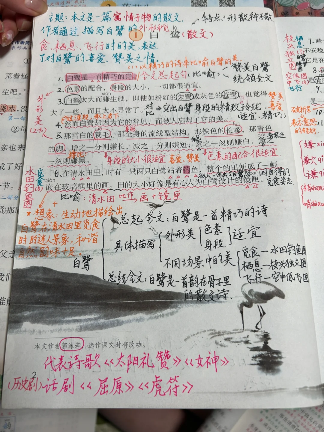 五上语文备课1《白鹭》