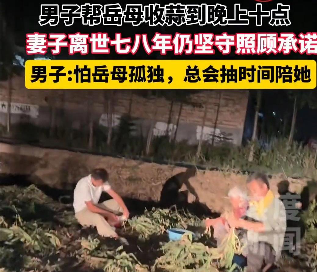 山东菏泽，一男子曾帮岳母收蒜忙到晚上十点，只因妻子临终前托付，要好好照顾年迈岳母