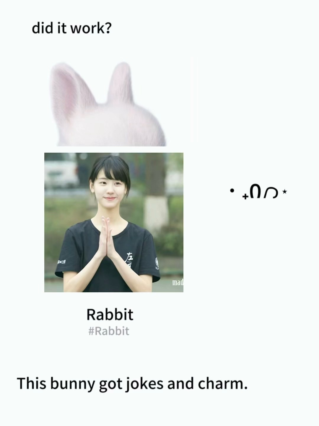 🐰 
