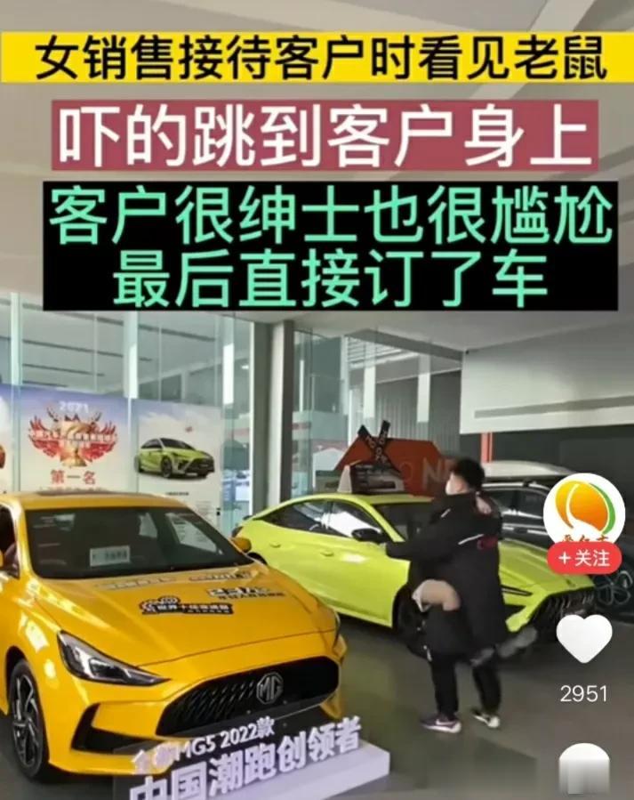 这只老鼠应该有提成吧！