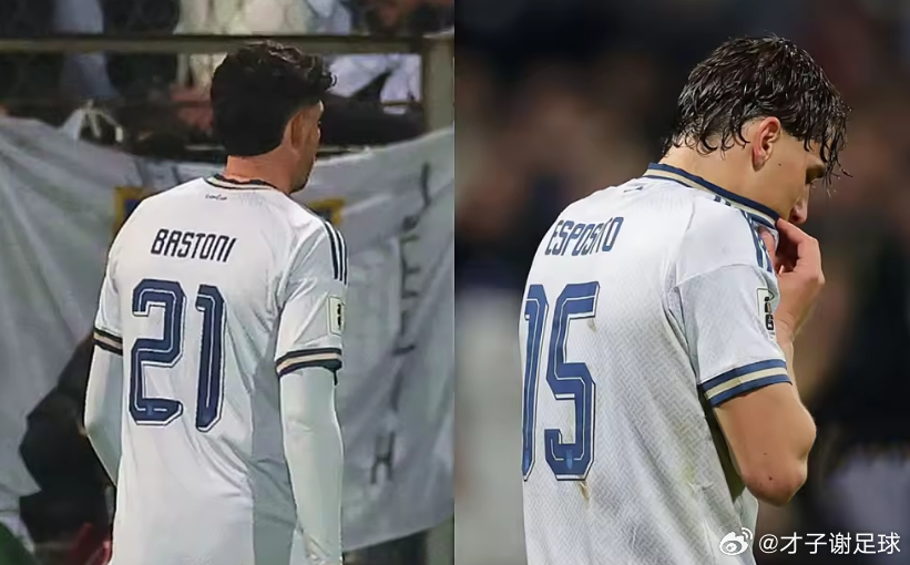 世欧预附加赛决赛，意大利在点球大战中1-4不敌波黑，无缘美加墨世界杯。本场比赛中